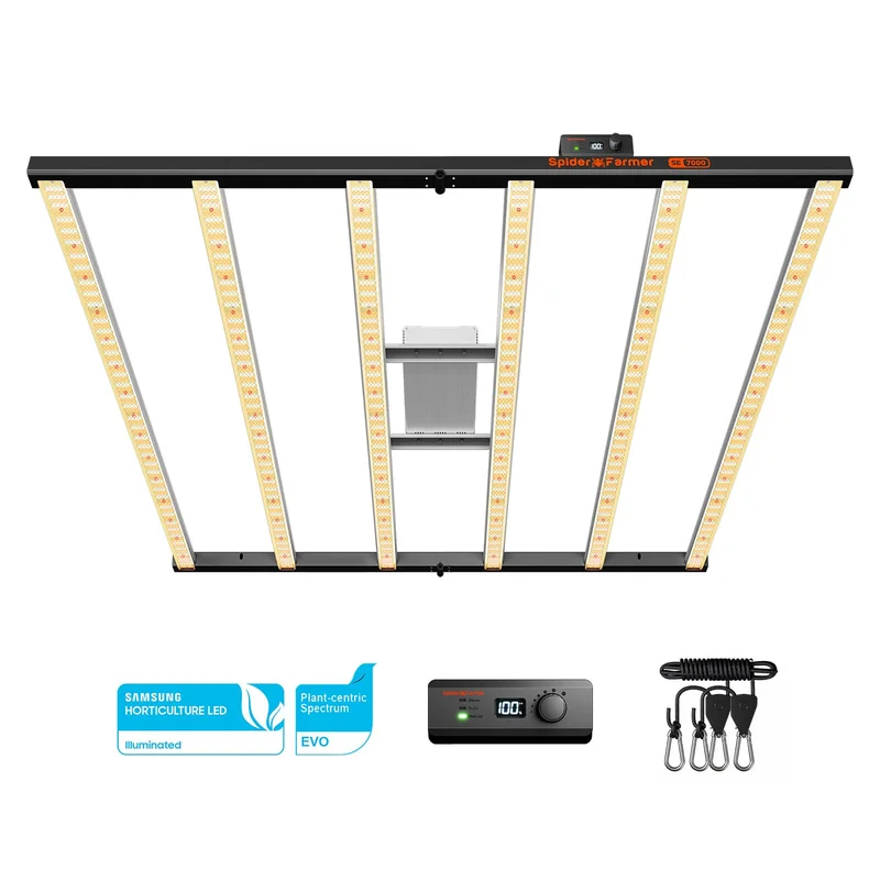 lightsdaddy331048
