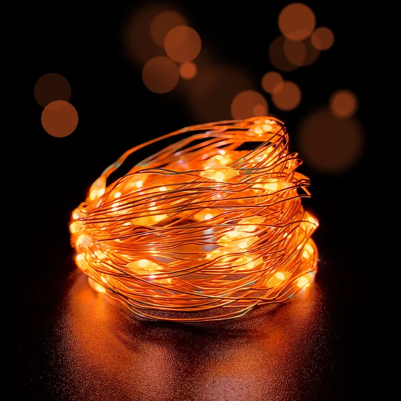 lightsdaddy335353