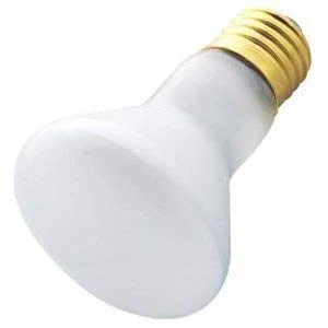 lightsdaddy338901