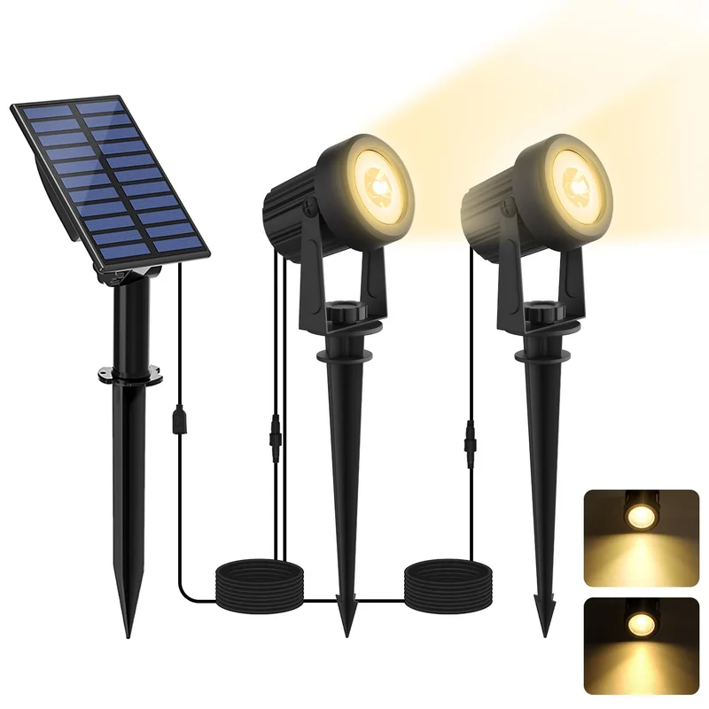 lightsdaddy344048
