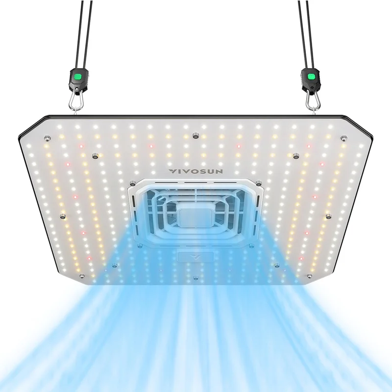 lightsdaddy349806