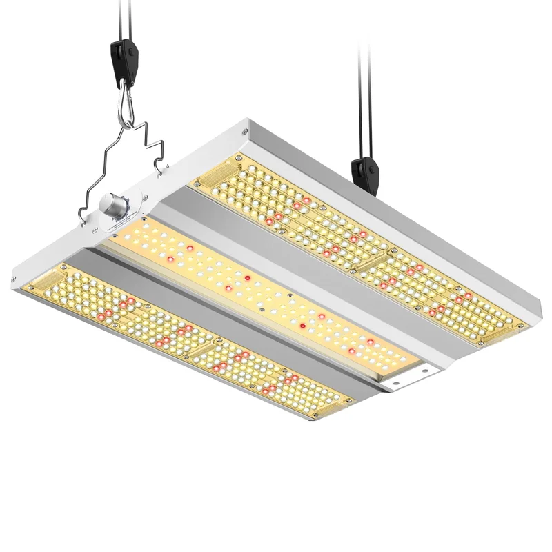 lightsdaddy350574