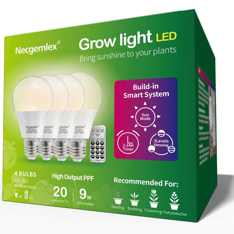 lightsdaddy350830