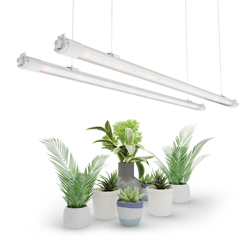 lightsdaddy351189