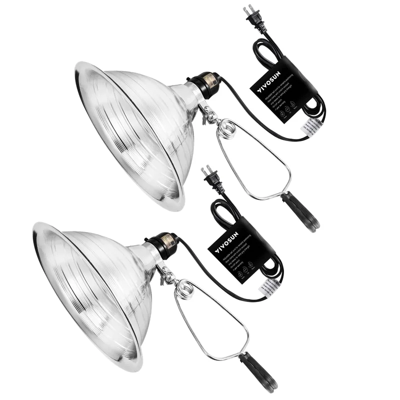 lightsdaddy351817