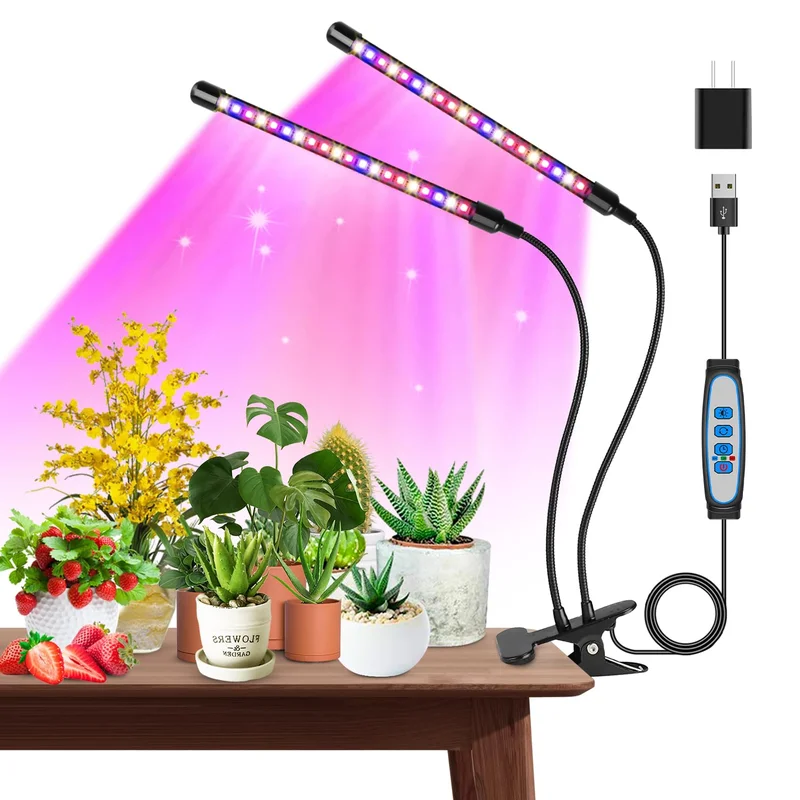 lightsdaddy358646