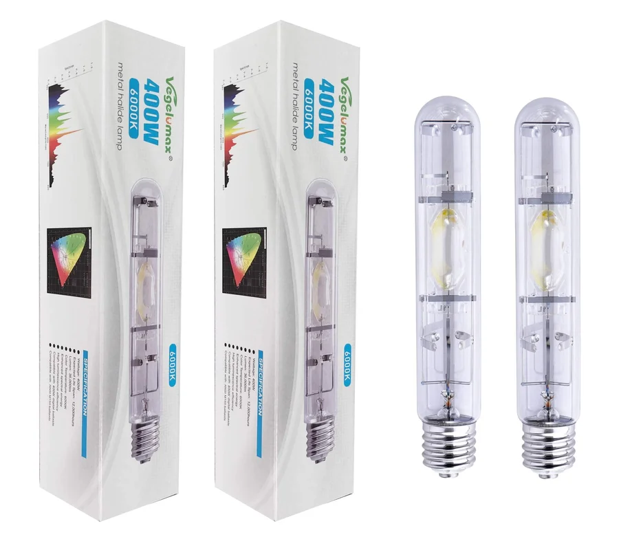 lightsdaddy359660
