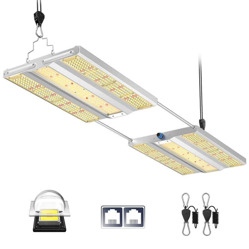 lightsdaddy363400