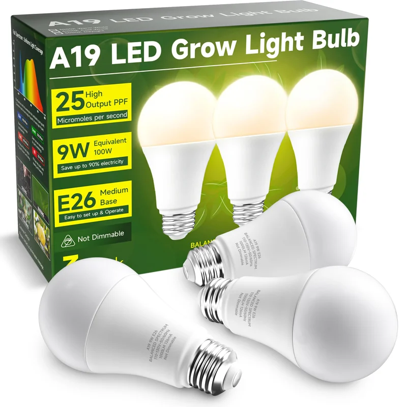 lightsdaddy364796
