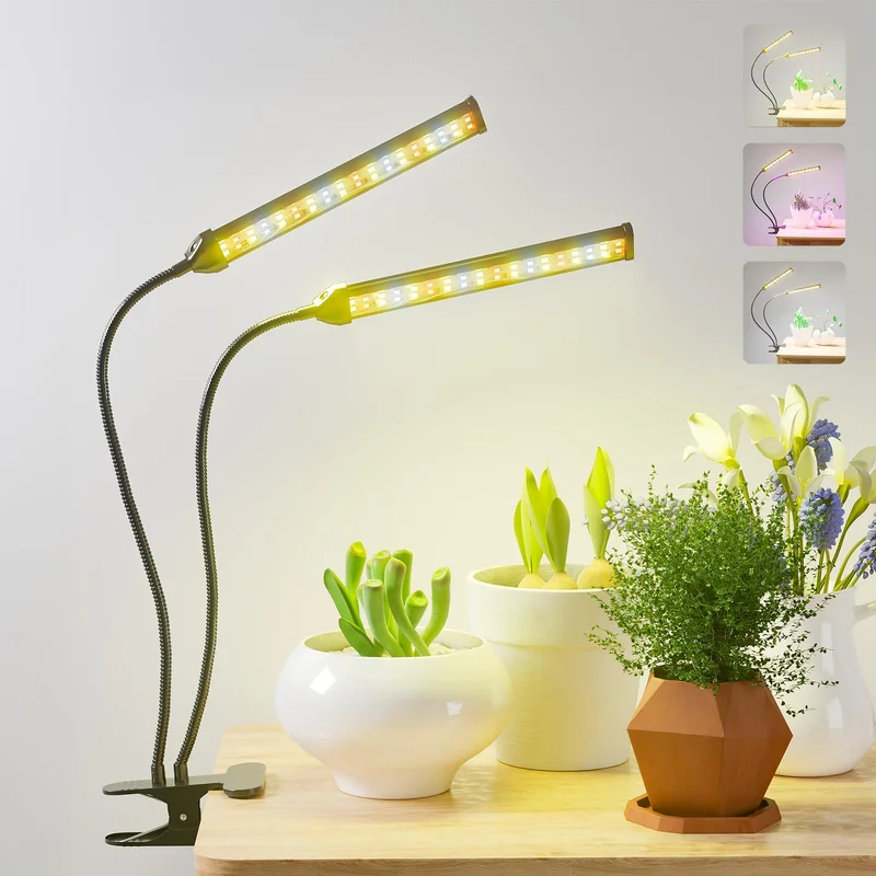 lightsdaddy370962