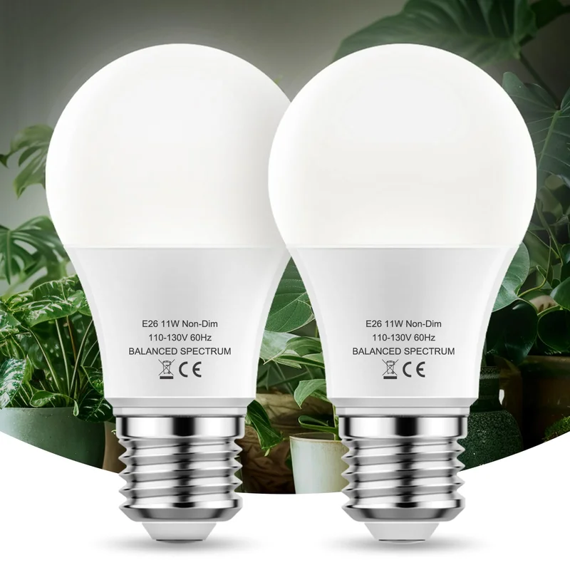 lightsdaddy376135