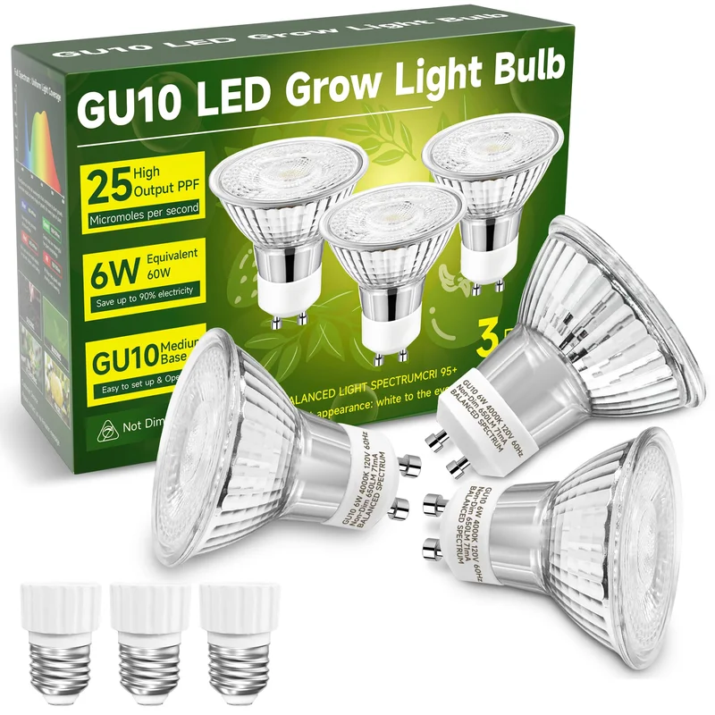 lightsdaddy377171