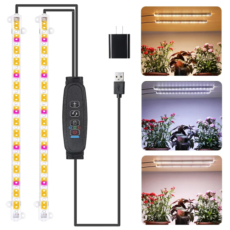 lightsdaddy378305