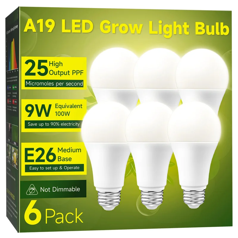 lightsdaddy378623