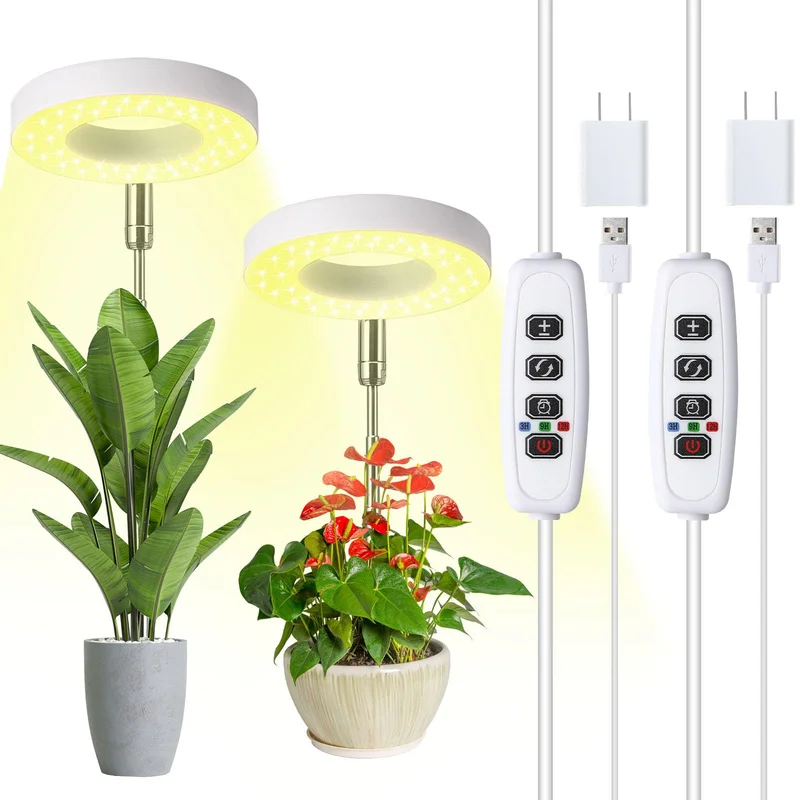 lightsdaddy378929