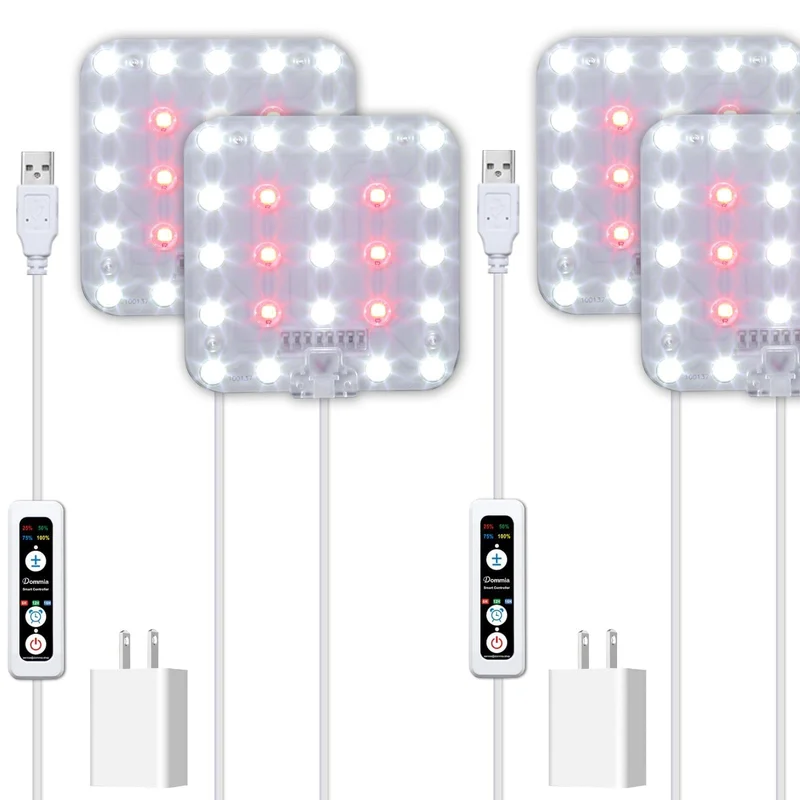 lightsdaddy387307