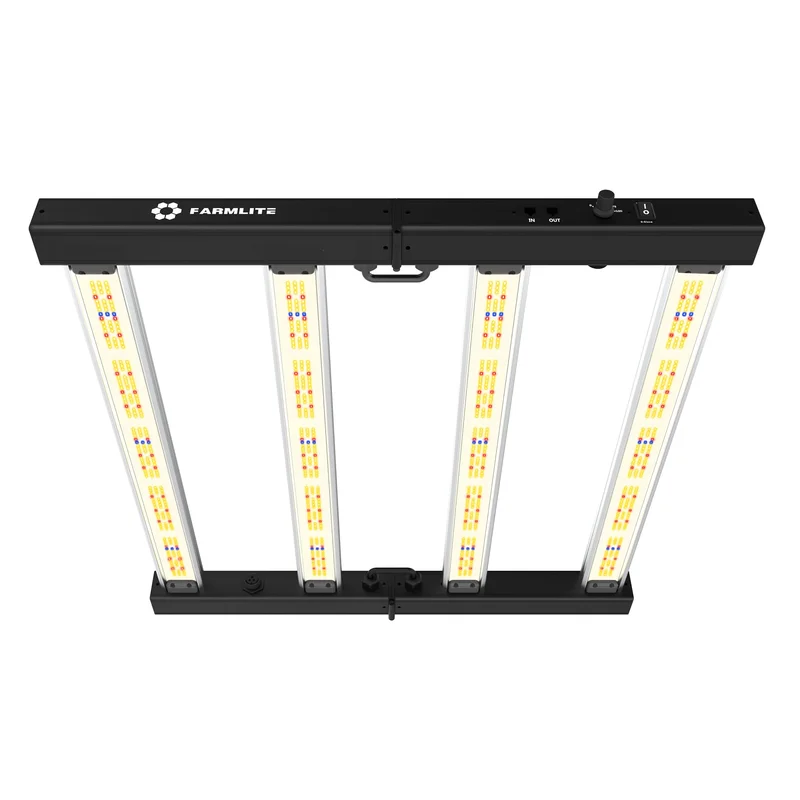 lightsdaddy388423