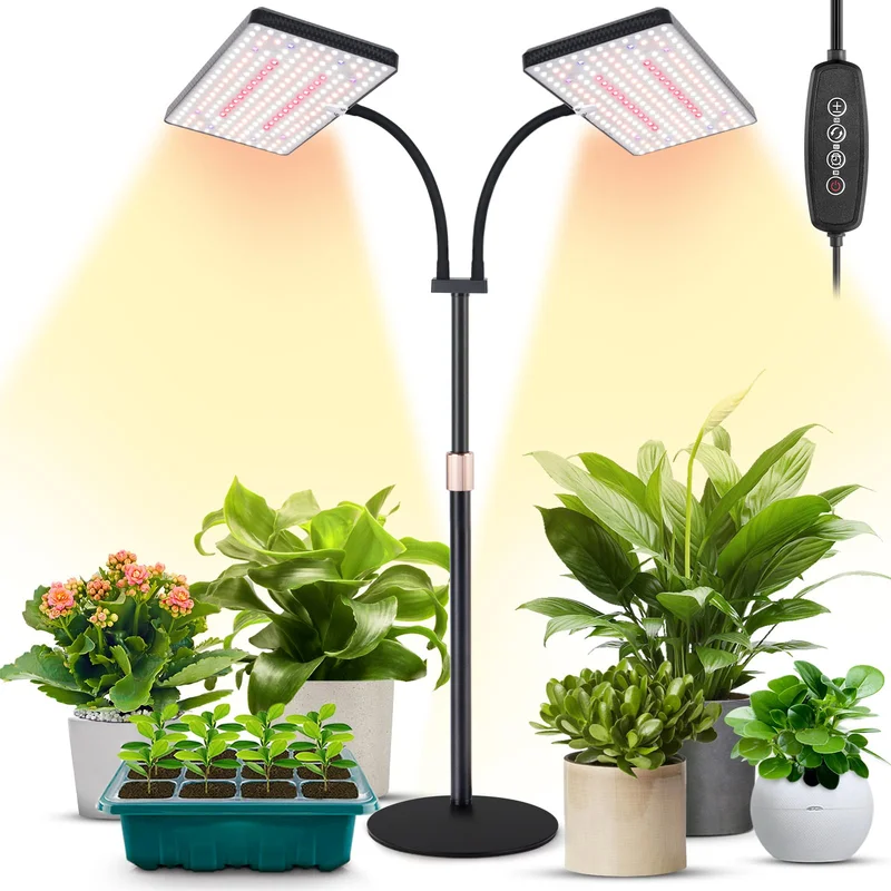 lightsdaddy388601