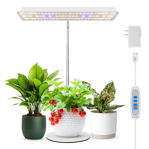 lightsdaddy391641