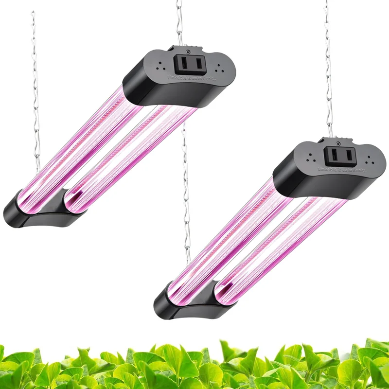 lightsdaddy397676
