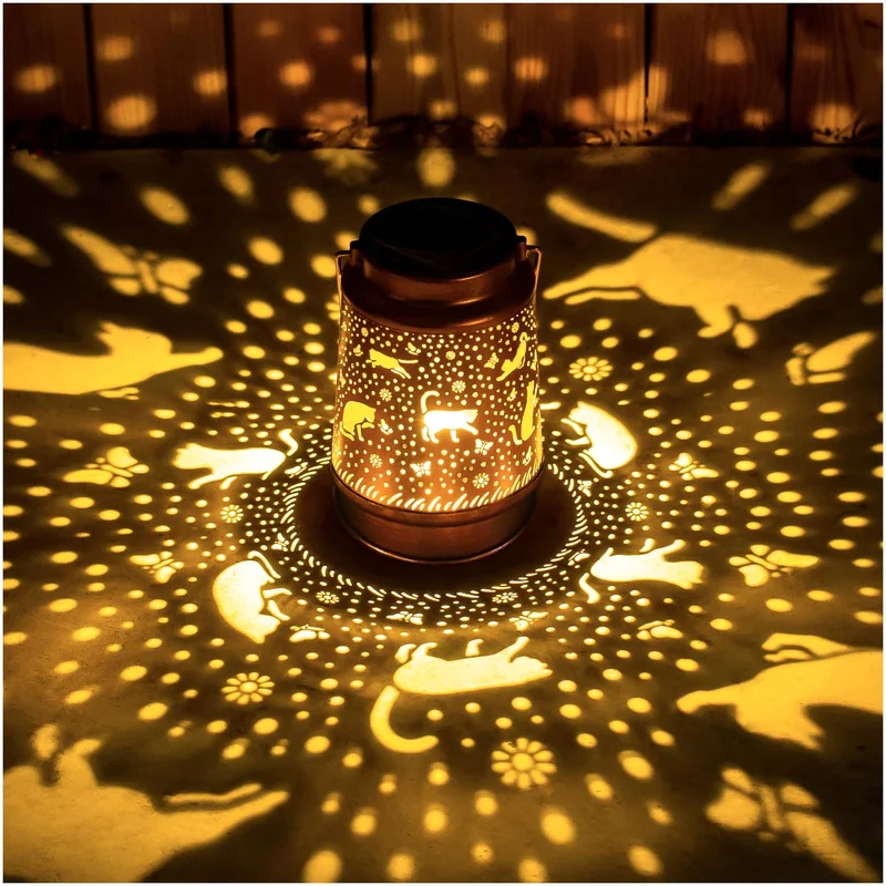 lightsdaddy401372