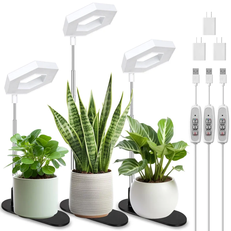 lightsdaddy401420