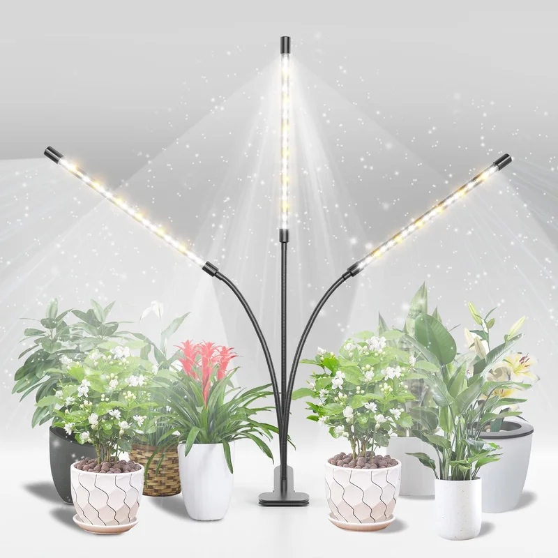 lightsdaddy401600