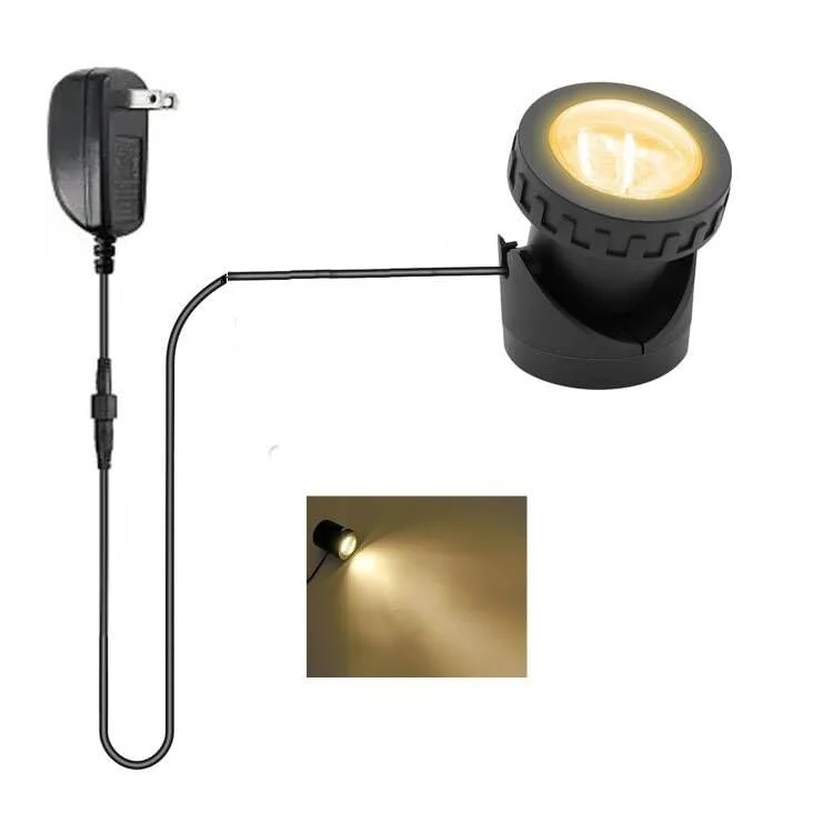 lightsdaddy402955