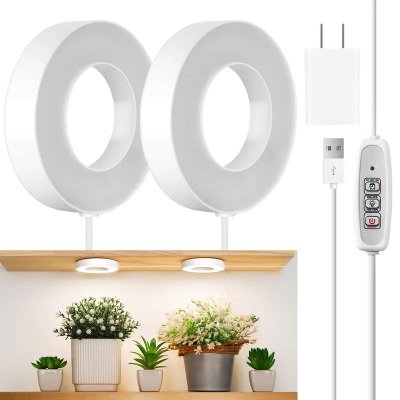 lightsdaddy404966