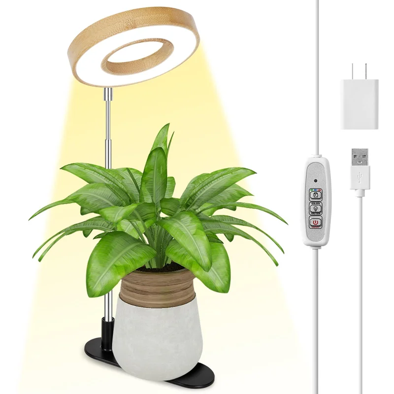 lightsdaddy409377