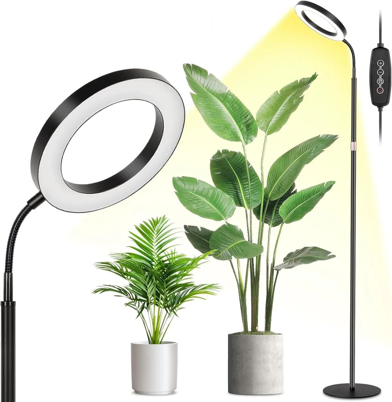 lightsdaddy410921