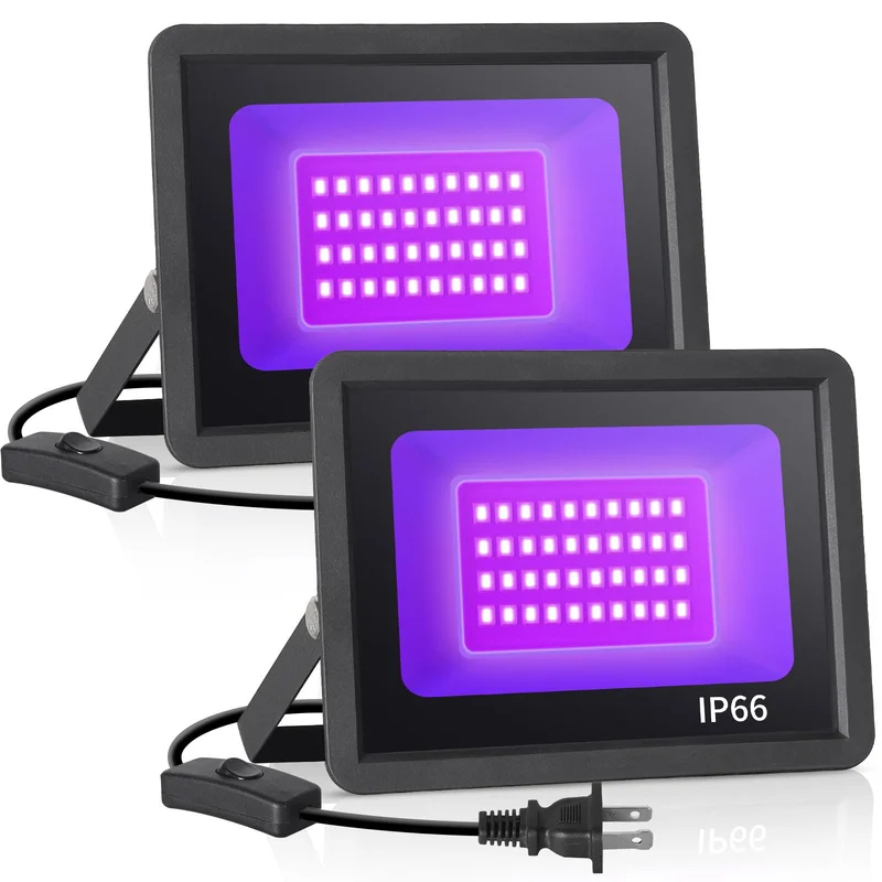 lightsdaddy411835