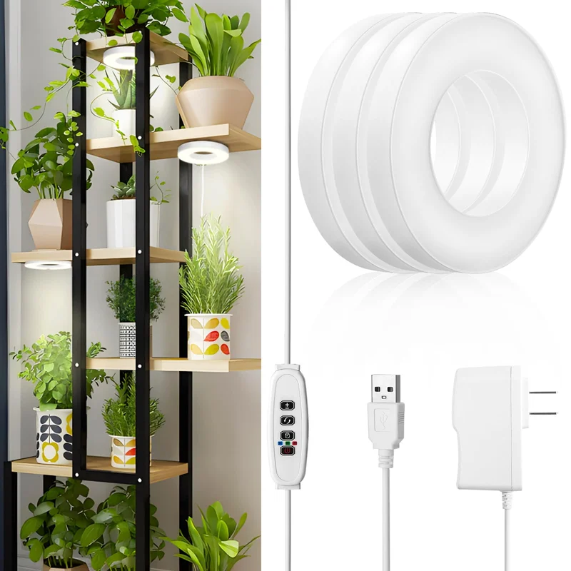 lightsdaddy411960