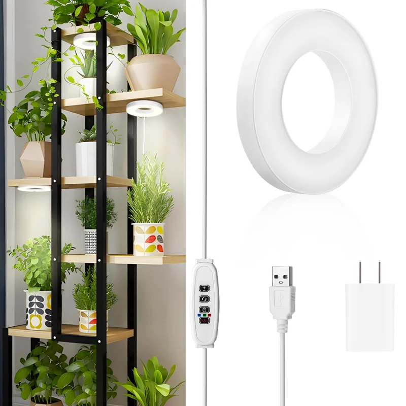 lightsdaddy412132