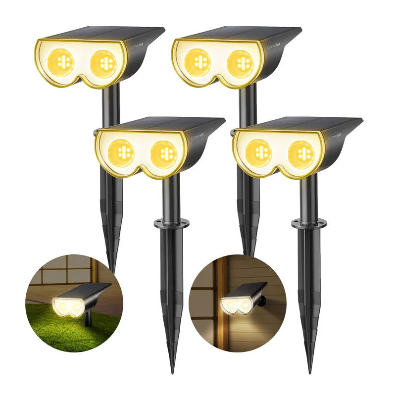 lightsdaddy414499