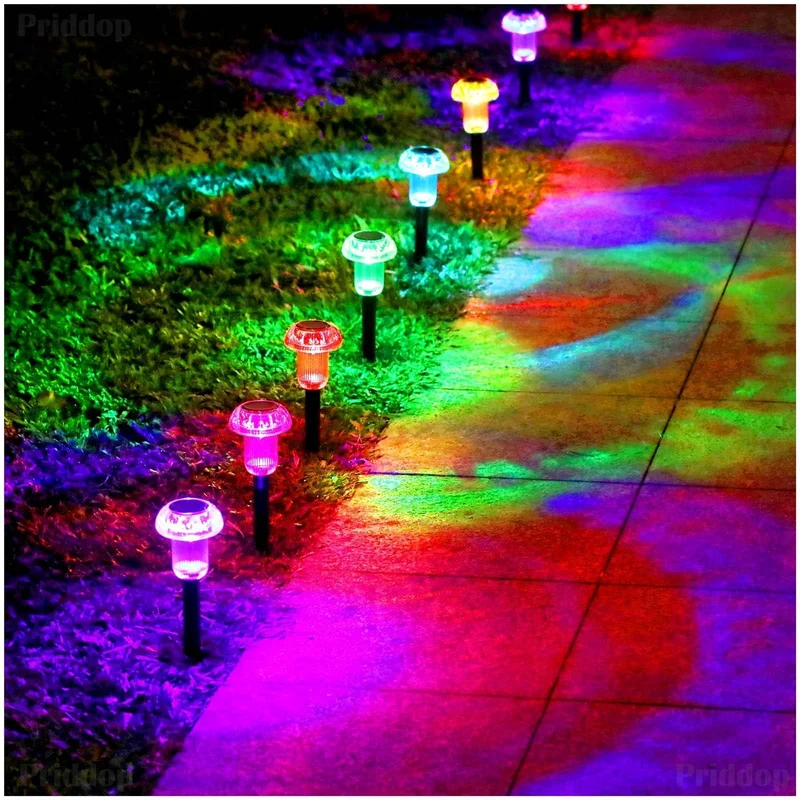 lightsdaddy423489