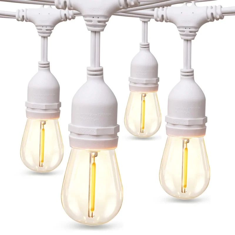 lightsdaddy429598