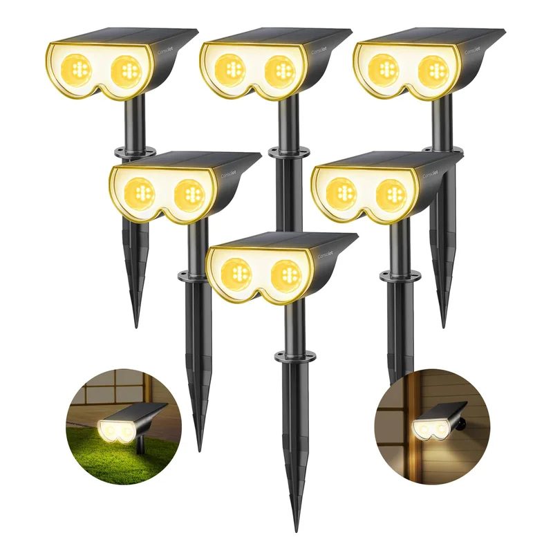 lightsdaddy431148