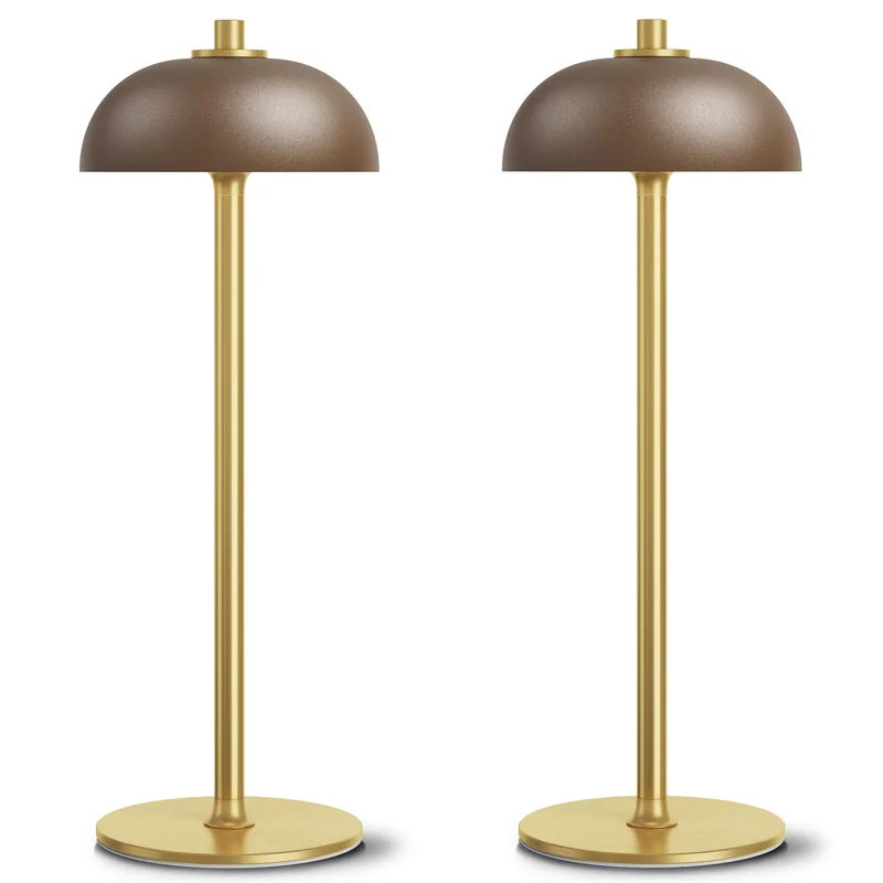 lightsdaddy434068