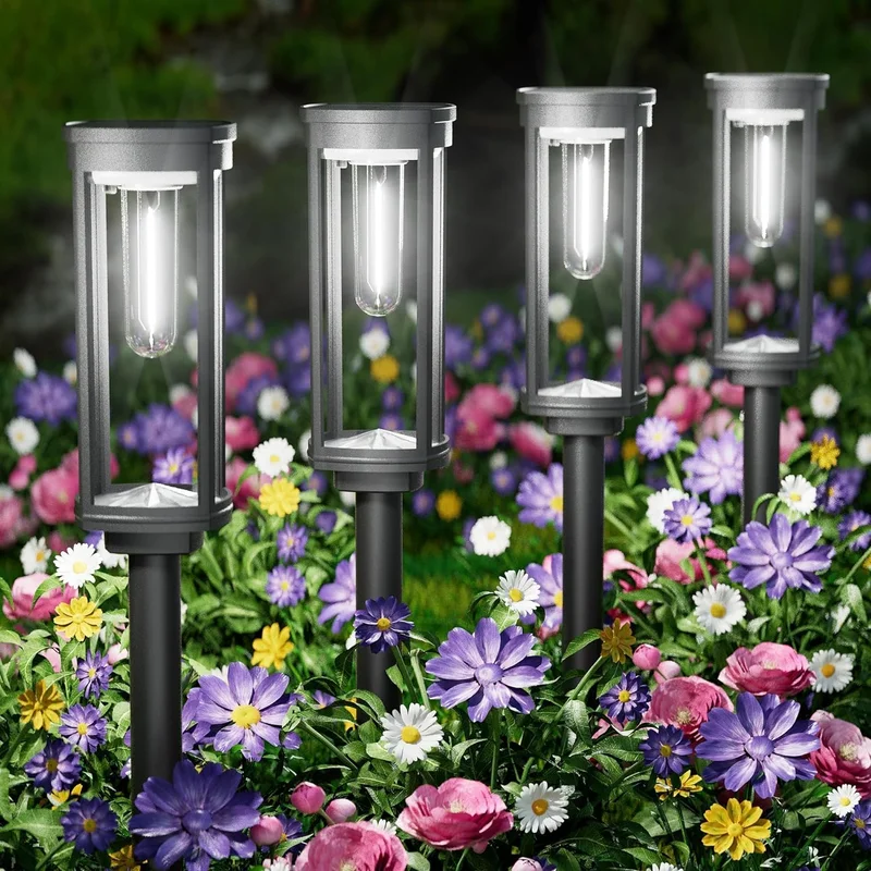 lightsdaddy436052