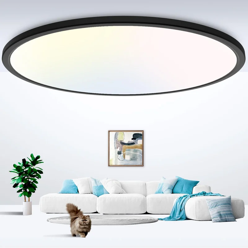 lightsdaddy442665