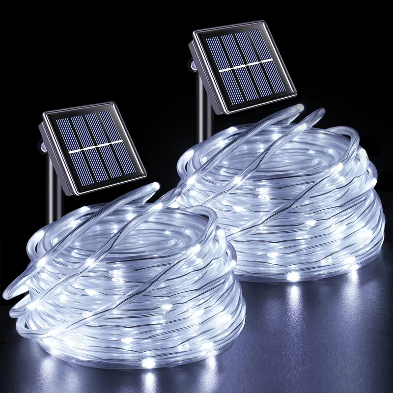 lightsdaddy445999