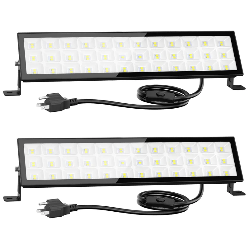 lightsdaddy447167