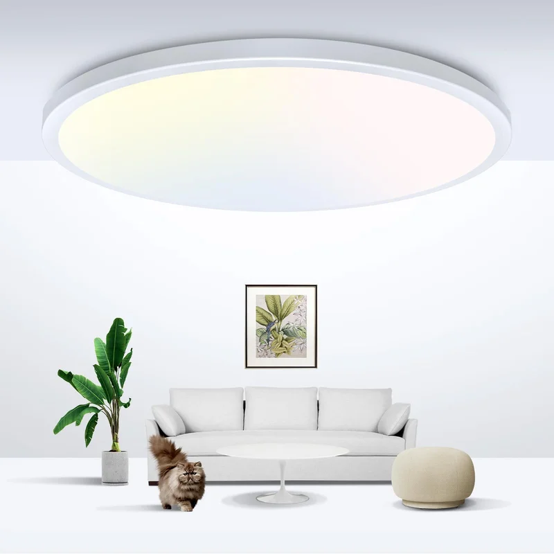 lightsdaddy449436