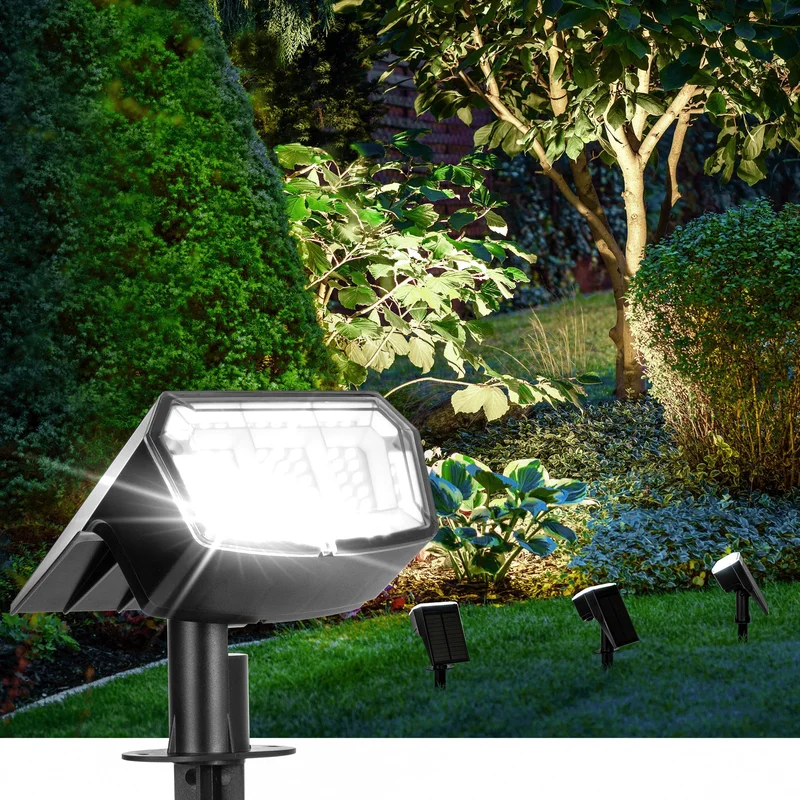 lightsdaddy450058