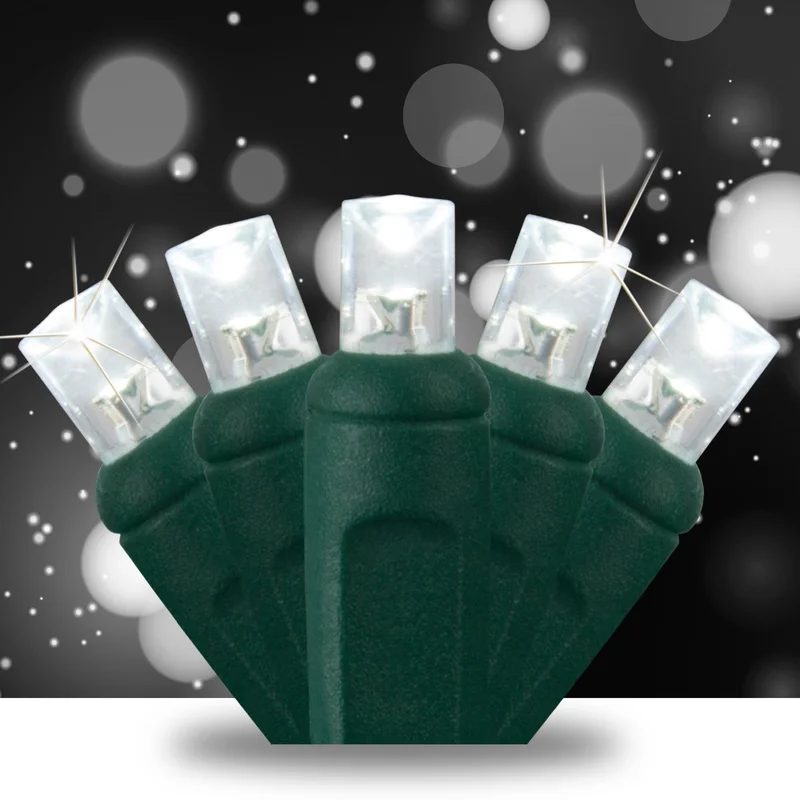 lightsdaddy458599