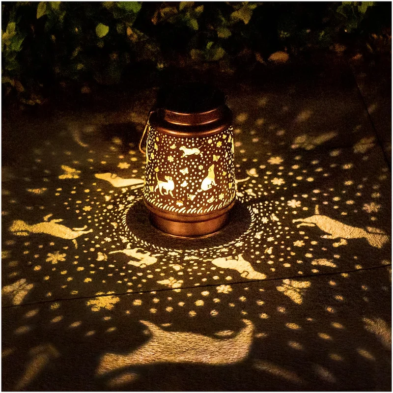 lightsdaddy474170