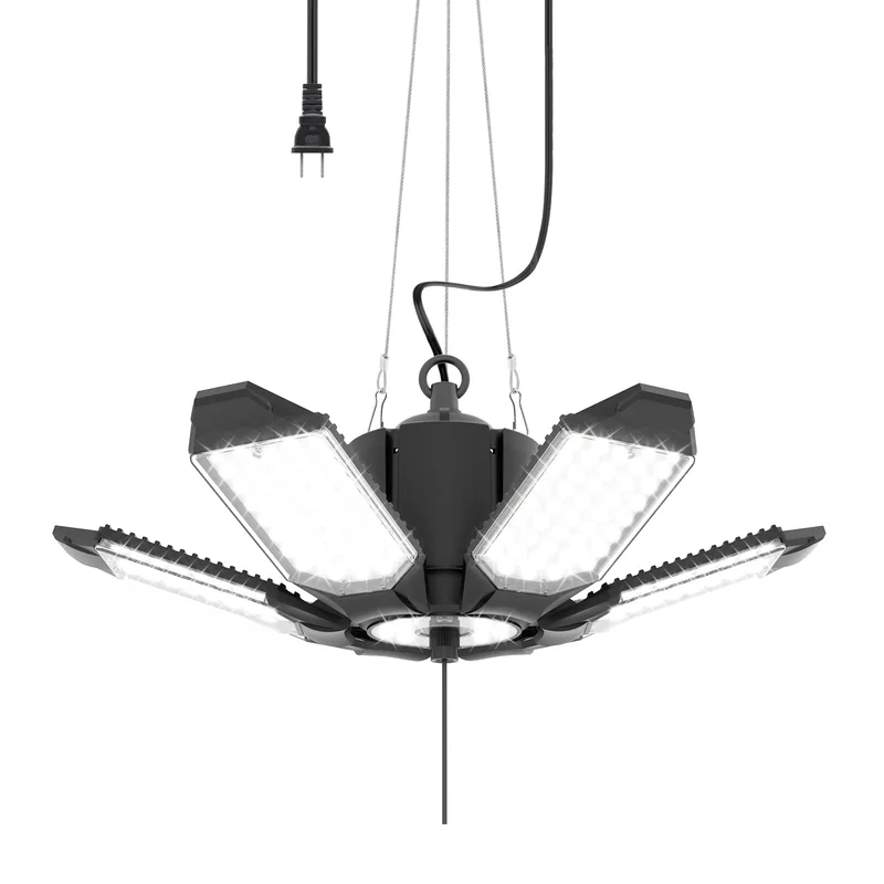 lightsdaddy490721