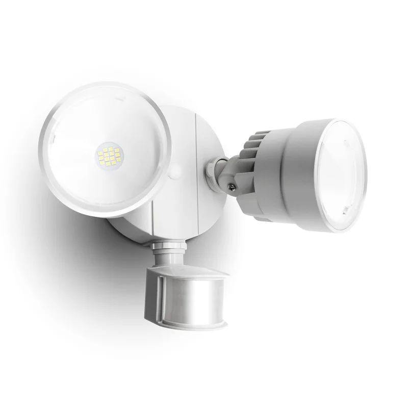 lightsdaddy491136