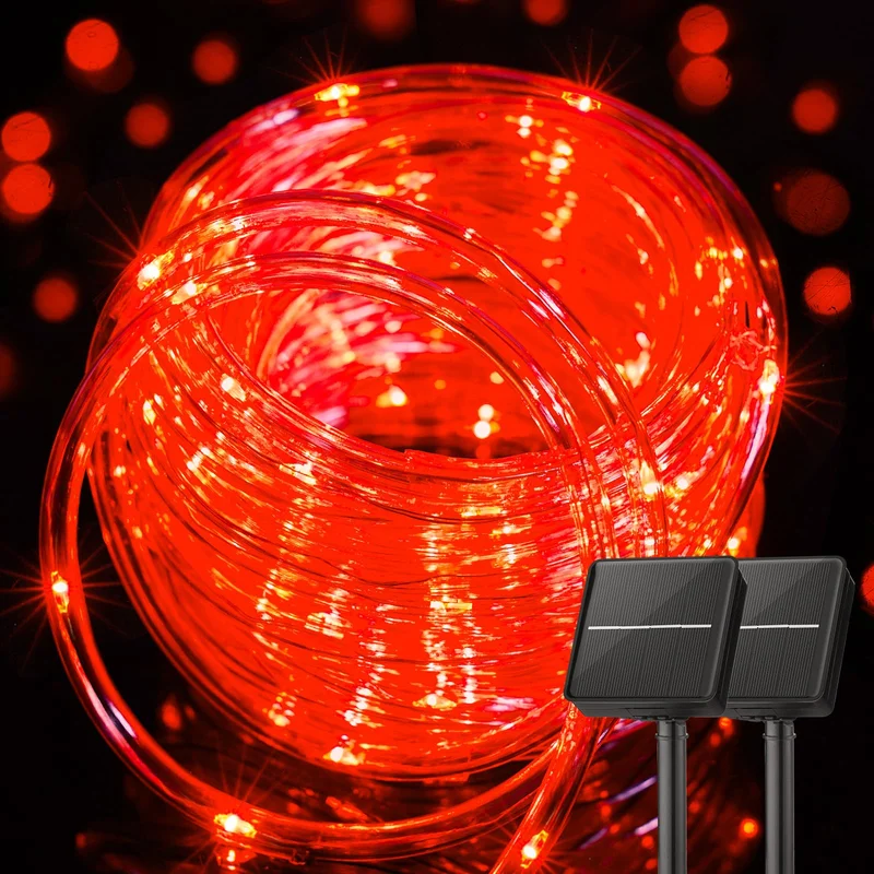lightsdaddy493662